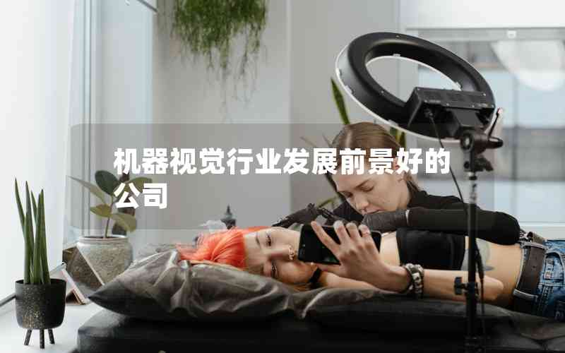 機器視覺行業(yè)發(fā)展前景好的公司 機器視覺行業(yè)發(fā)展前景好的公司