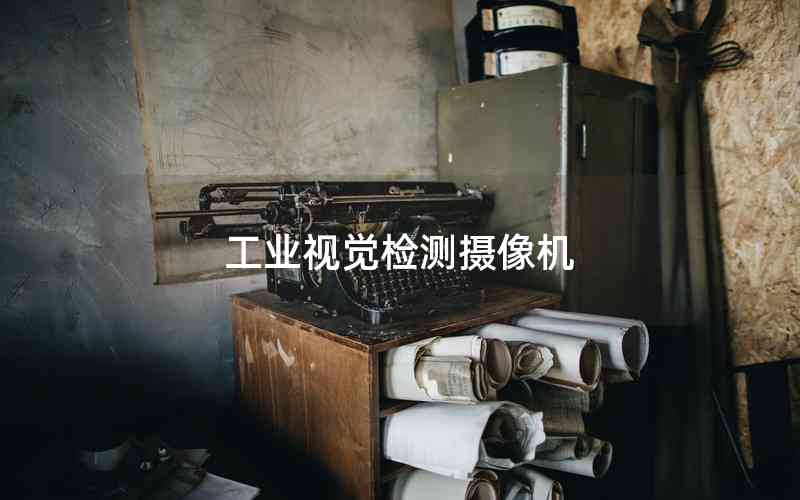 工業(yè)視覺(jué)檢測(cè)攝像機(jī) 工業(yè)視覺(jué)檢測(cè)攝像機(jī)