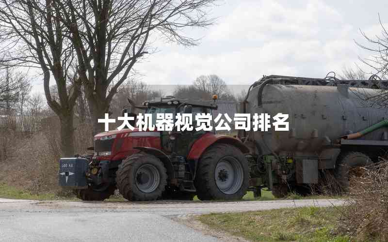 十大機(jī)器視覺公司排名 十大機(jī)器視覺公司排名