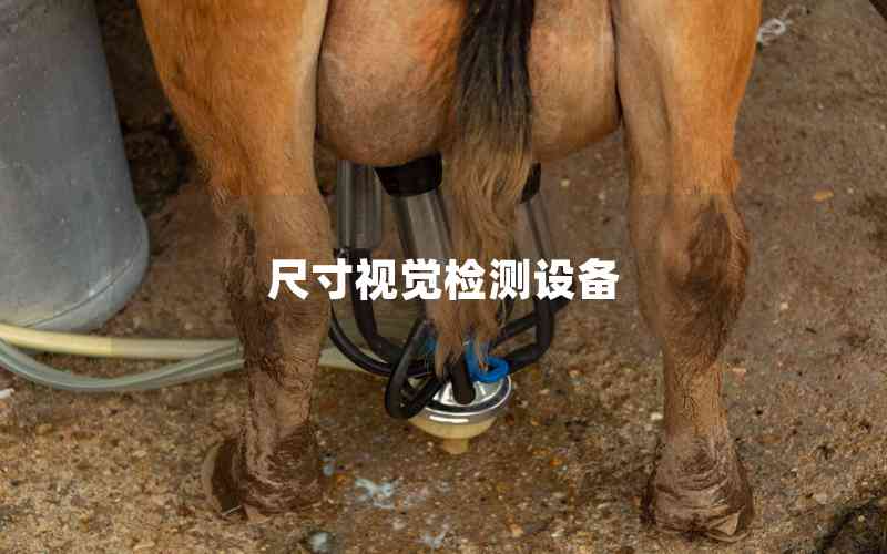 尺寸視覺檢測設備 尺寸視覺檢測設備