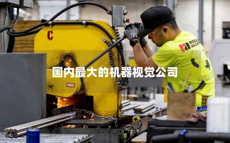 國內(nèi)最大的機器視覺公司 國內(nèi)最大的機器視覺公司