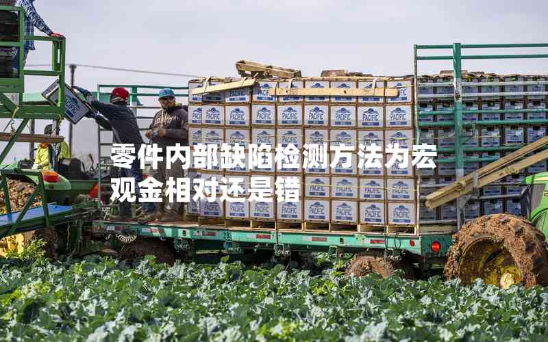 零件內(nèi)部缺陷檢測(cè)方法為宏觀金相對(duì)還是錯(cuò) 零件內(nèi)部缺陷檢測(cè)方法為宏觀金相對(duì)還是錯(cuò)