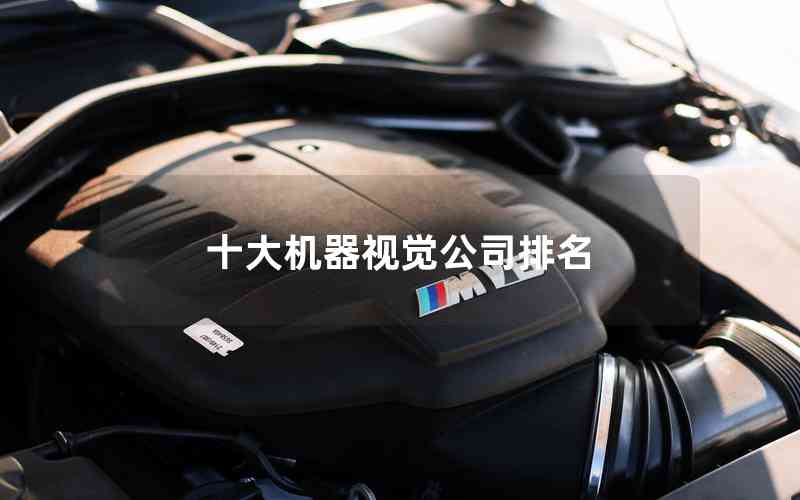 十大機(jī)器視覺公司排名 十大機(jī)器視覺公司排名