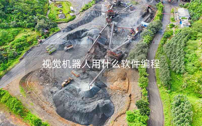 視覺機(jī)器人用什么軟件編程 視覺機(jī)器人用什么軟件編程