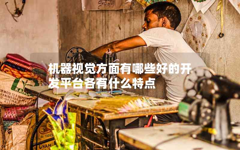 機(jī)器視覺方面有哪些好的開發(fā)平臺各有什么特點(diǎn) 機(jī)器視覺方面有哪些好的開發(fā)平臺各有什么特點(diǎn)
