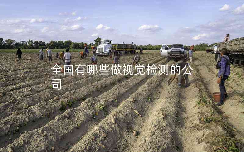 全國(guó)有哪些做視覺(jué)檢測(cè)的公司 全國(guó)有哪些做視覺(jué)檢測(cè)的公司