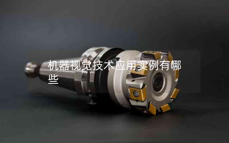 機器視覺技術應用實例有哪些 機器視覺技術應用實例有哪些