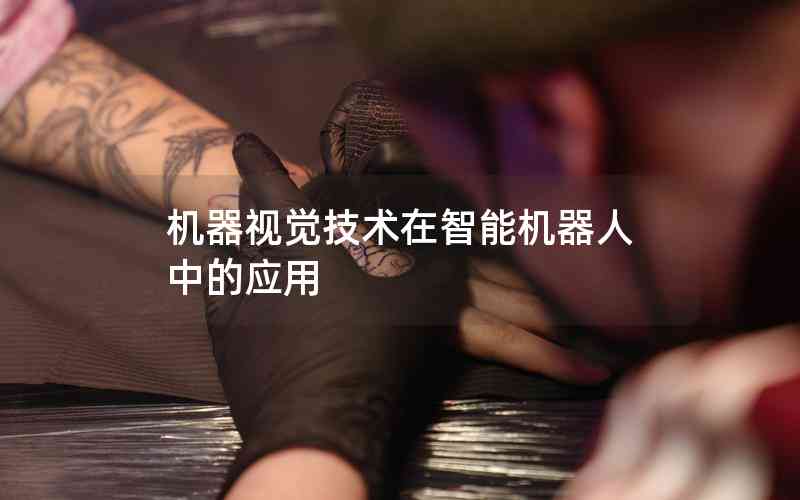 機(jī)器視覺技術(shù)在智能機(jī)器人中的應(yīng)用 機(jī)器視覺技術(shù)在智能機(jī)器人中的應(yīng)用