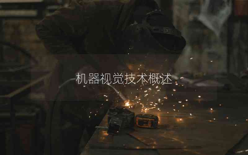 機(jī)器視覺技術(shù)概述 機(jī)器視覺技術(shù)概述