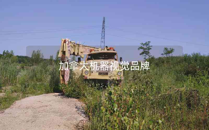 加拿大機(jī)器視覺(jué)品牌 加拿大機(jī)器視覺(jué)品牌