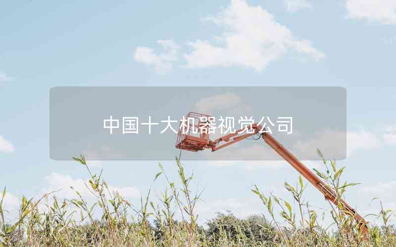 中國十大機器視覺公司 中國十大機器視覺公司