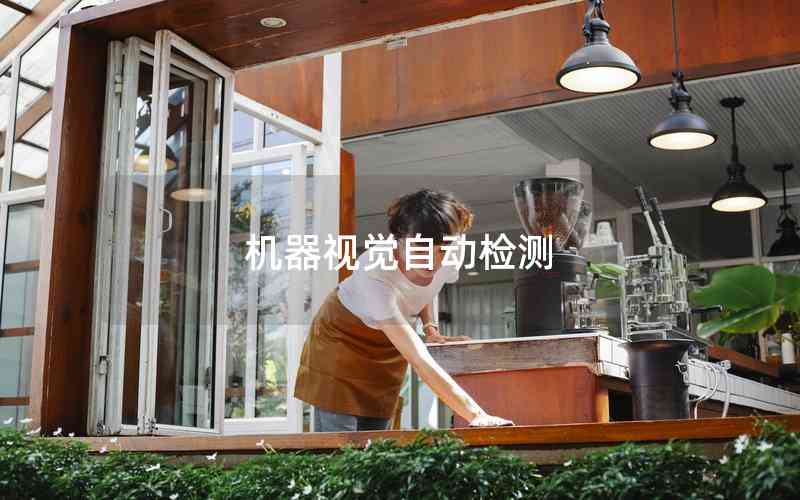 機器視覺自動檢測 機器視覺自動檢測