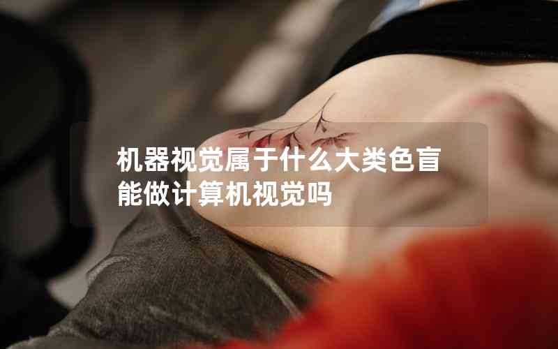 機器視覺屬于什么大類色盲能做計算機視覺嗎 機器視覺屬于什么大類色盲能做計算機視覺嗎