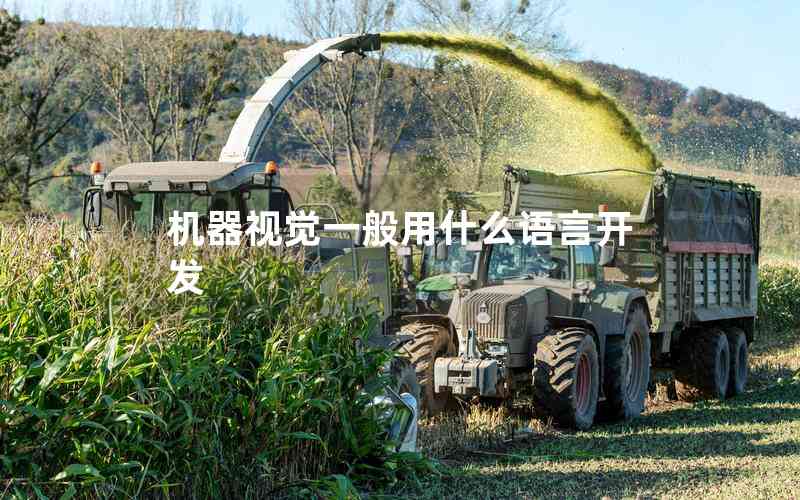 機(jī)器視覺(jué)一般用什么語(yǔ)言開(kāi)發(fā) 機(jī)器視覺(jué)一般用什么語(yǔ)言開(kāi)發(fā)