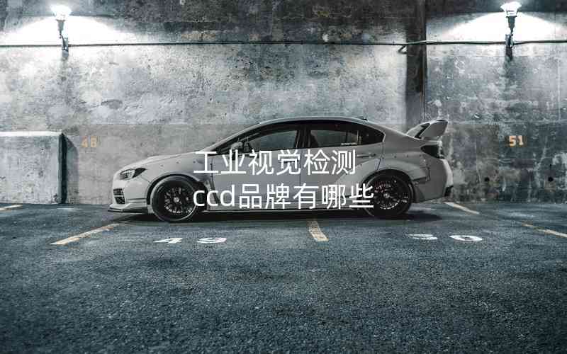 工業(yè)視覺檢測 ccd品牌有哪些 工業(yè)視覺檢測 ccd品牌有哪些