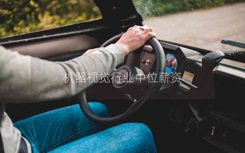 機(jī)器視覺(jué)行業(yè)中位薪資 機(jī)器視覺(jué)行業(yè)中位薪資