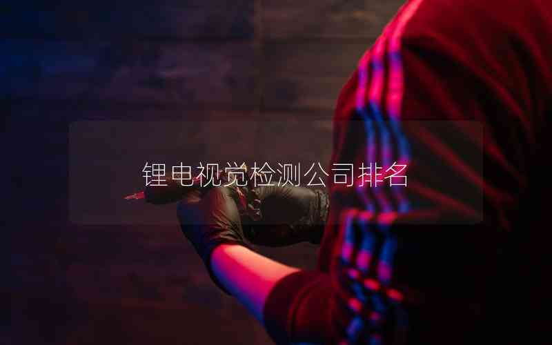 鋰電視覺檢測公司排名 鋰電視覺檢測公司排名