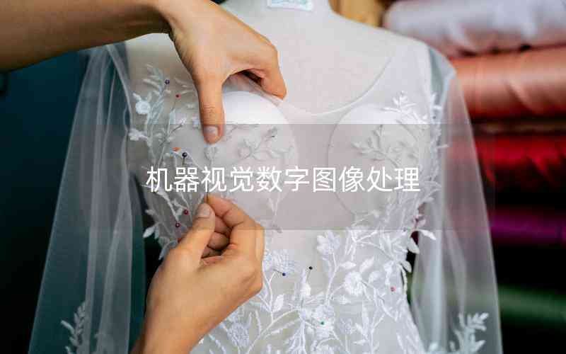 機器視覺數(shù)字圖像處理 機器視覺數(shù)字圖像處理