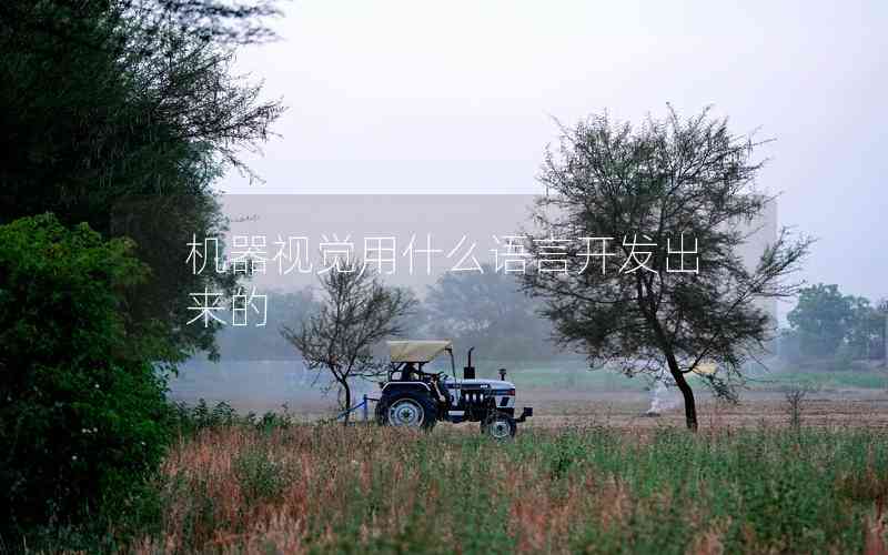 機(jī)器視覺用什么語言開發(fā)出來的 機(jī)器視覺用什么語言開發(fā)出來的