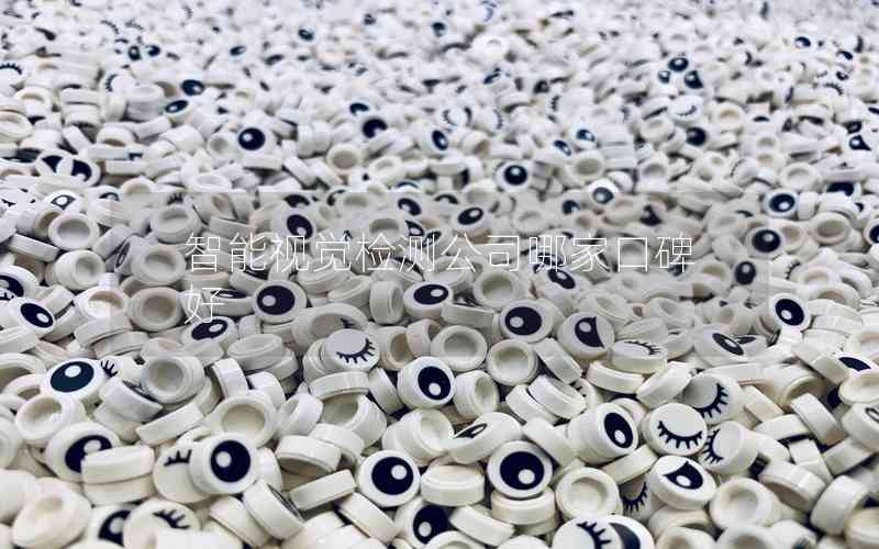 智能視覺檢測公司哪家口碑好 智能視覺檢測公司哪家口碑好