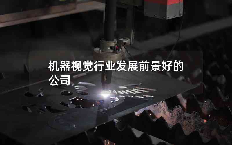 機(jī)器視覺行業(yè)發(fā)展前景好的公司 機(jī)器視覺行業(yè)發(fā)展前景好的公司