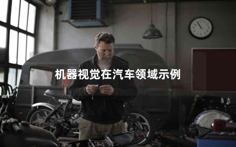 機(jī)器視覺(jué)在汽車領(lǐng)域示例 機(jī)器視覺(jué)在汽車領(lǐng)域示例