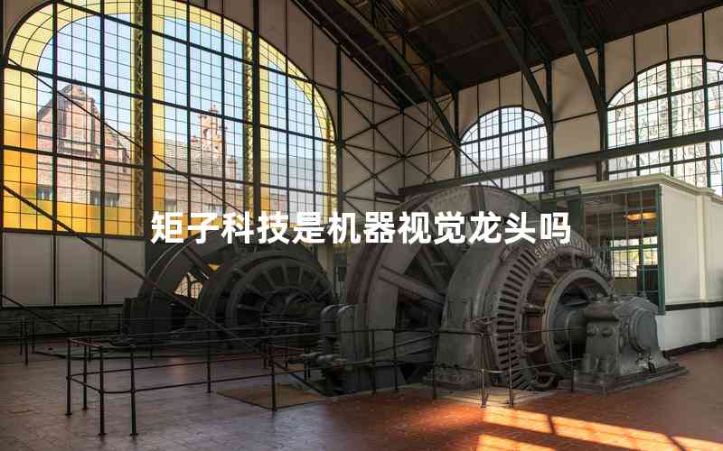 矩子科技是機(jī)器視覺(jué)龍頭嗎 矩子科技是機(jī)器視覺(jué)龍頭嗎