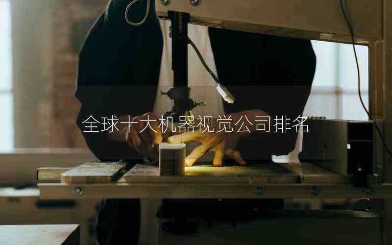 全球十大機(jī)器視覺公司排名 全球十大機(jī)器視覺公司排名