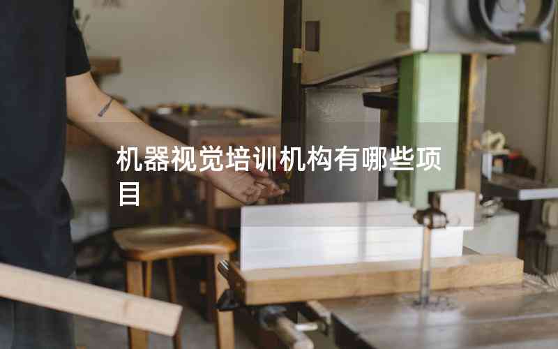 機(jī)器視覺培訓(xùn)機(jī)構(gòu)有哪些項(xiàng)目 機(jī)器視覺培訓(xùn)機(jī)構(gòu)有哪些項(xiàng)目