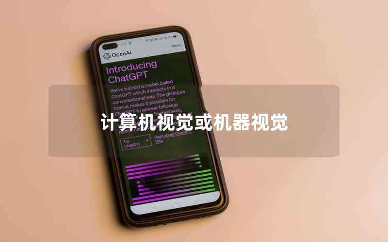 計算機視覺或機器視覺 計算機視覺或機器視覺