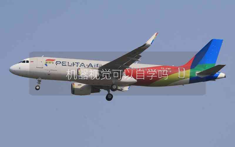 機器視覺可以自學嗎 機器視覺可以自學嗎