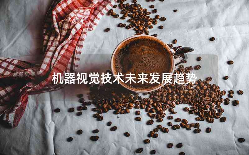 機(jī)器視覺(jué)技術(shù)未來(lái)發(fā)展趨勢(shì) 機(jī)器視覺(jué)技術(shù)未來(lái)發(fā)展趨勢(shì)