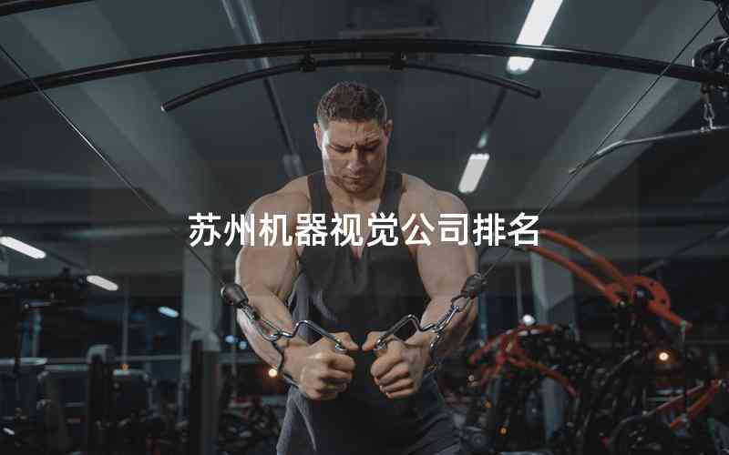 蘇州機(jī)器視覺公司排名 蘇州機(jī)器視覺公司排名