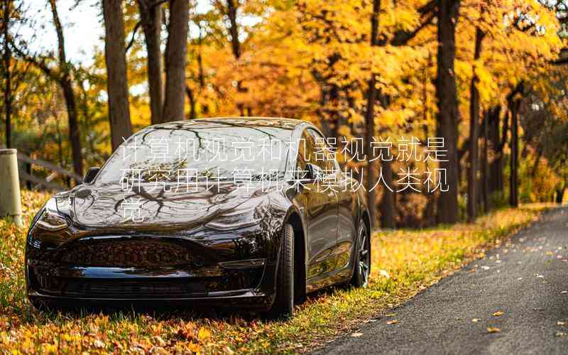 計(jì)算機(jī)視覺和機(jī)器視覺就是研究用計(jì)算機(jī)來模擬人類視覺 計(jì)算機(jī)視覺和機(jī)器視覺就是研究用計(jì)算機(jī)來模擬人類視覺