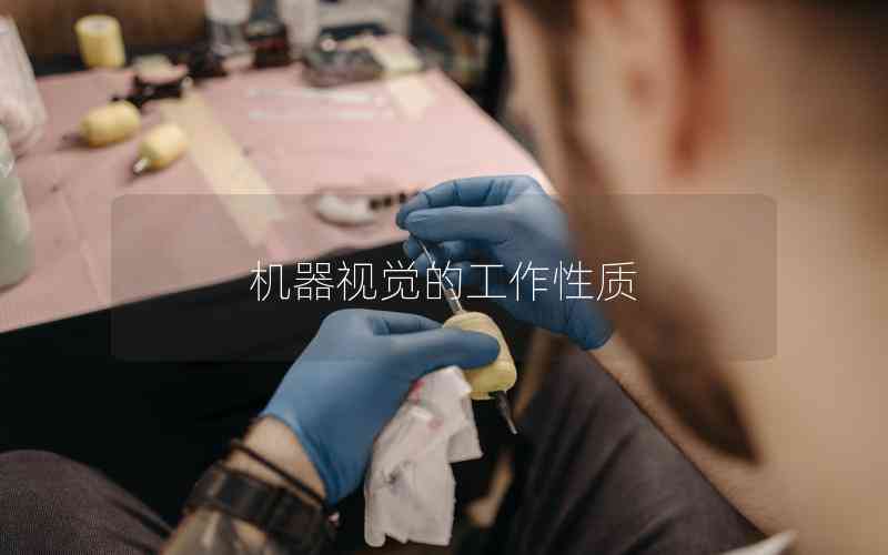 機器視覺的工作性質(zhì) 機器視覺的工作性質(zhì)