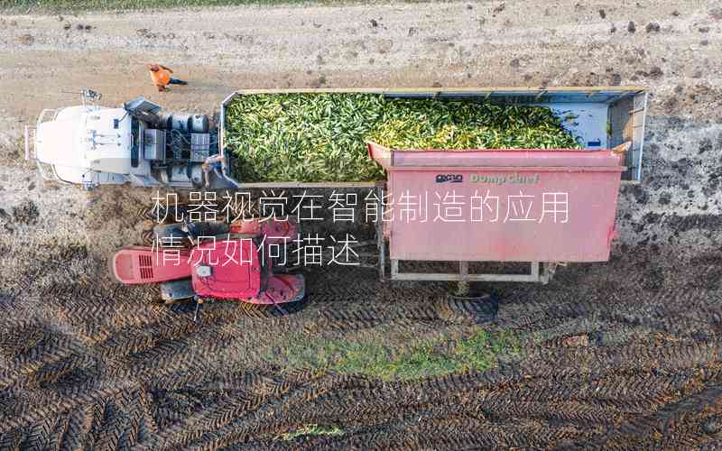 機(jī)器視覺在智能制造的應(yīng)用情況如何描述 機(jī)器視覺在智能制造的應(yīng)用情況如何描述