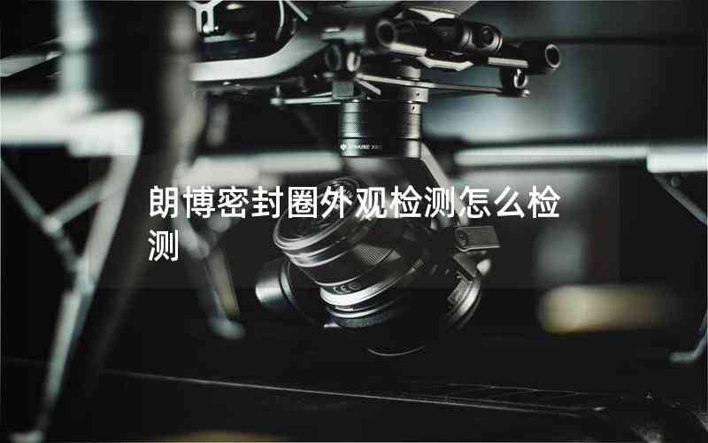 朗博密封圈外觀檢測(cè)怎么檢測(cè) 朗博密封圈外觀檢測(cè)怎么檢測(cè)