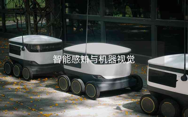 智能感知與機(jī)器視覺(jué) 智能感知與機(jī)器視覺(jué)