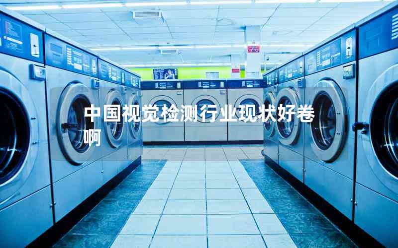 中國視覺檢測行業(yè)現狀好卷啊 中國視覺檢測行業(yè)現狀好卷啊