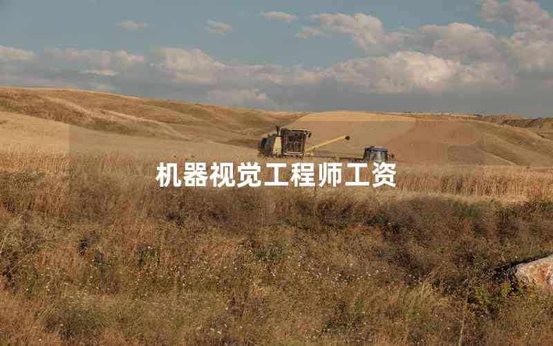 機(jī)器視覺工程師工資 機(jī)器視覺工程師工資