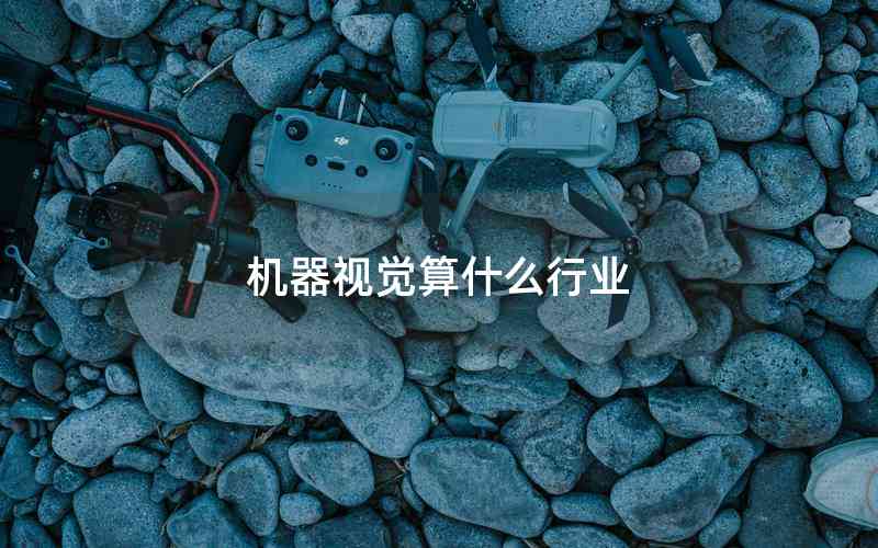 機(jī)器視覺算什么行業(yè) 機(jī)器視覺算什么行業(yè)