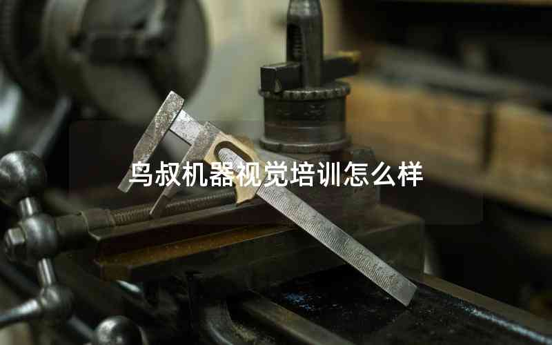 鳥叔機(jī)器視覺培訓(xùn)怎么樣 鳥叔機(jī)器視覺培訓(xùn)怎么樣