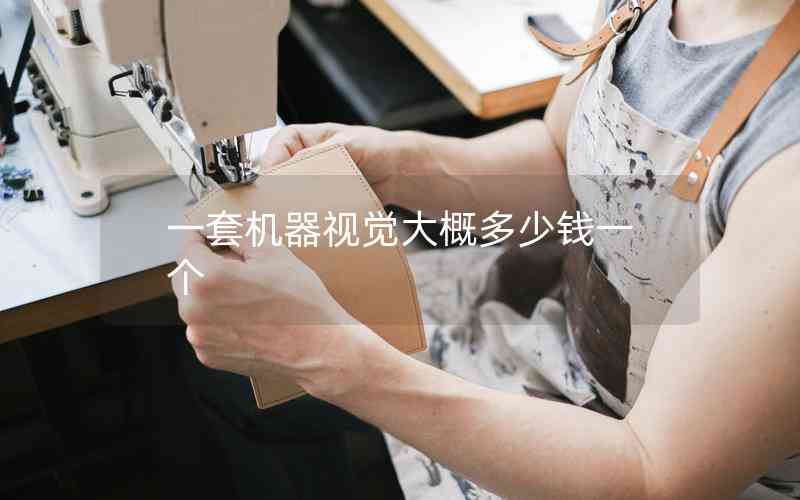 一套機(jī)器視覺大概多少錢一個(gè) 一套機(jī)器視覺大概多少錢一個(gè)