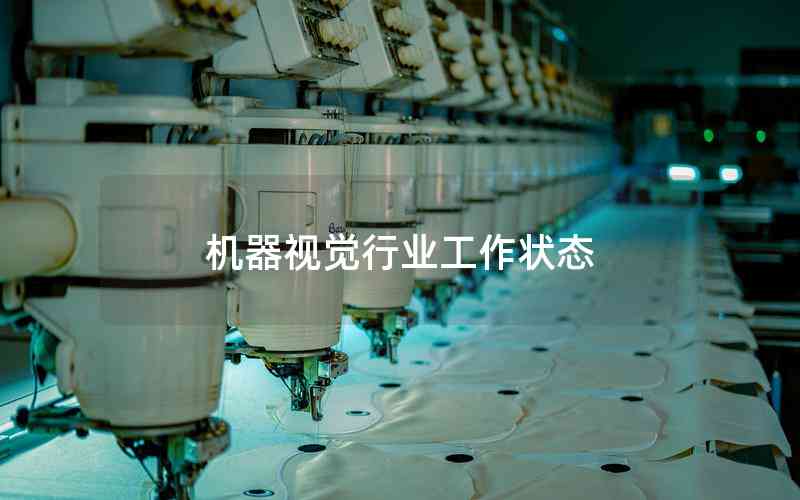 機(jī)器視覺(jué)行業(yè)工作狀態(tài) 機(jī)器視覺(jué)行業(yè)工作狀態(tài)