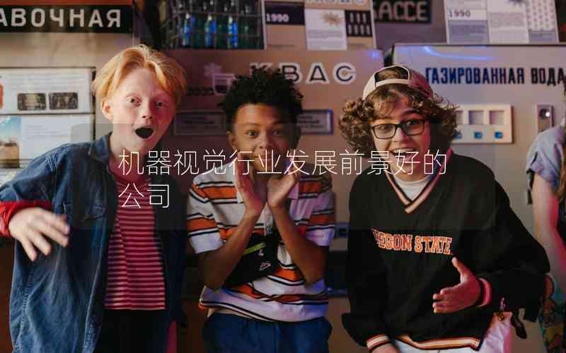 機器視覺行業(yè)發(fā)展前景好的公司 機器視覺行業(yè)發(fā)展前景好的公司