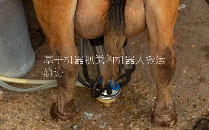 基于機器視覺的機器人搬運軌跡 基于機器視覺的機器人搬運軌跡