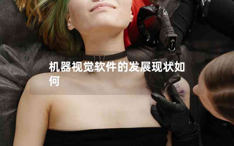 機器視覺軟件的發(fā)展現狀如何 機器視覺軟件的發(fā)展現狀如何