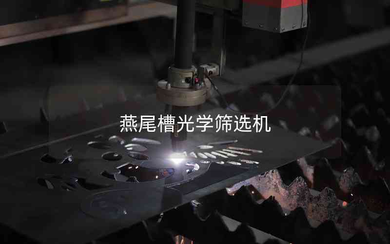 燕尾槽光學(xué)篩選機(jī) 燕尾槽光學(xué)篩選機(jī)