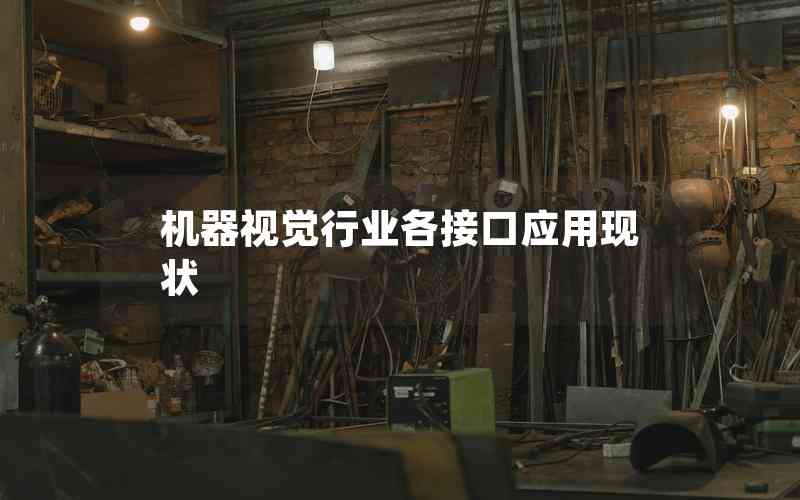 機(jī)器視覺(jué)行業(yè)各接口應(yīng)用現(xiàn)狀
