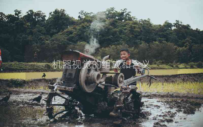 機器視覺的組成和含義 機器視覺的組成和含義